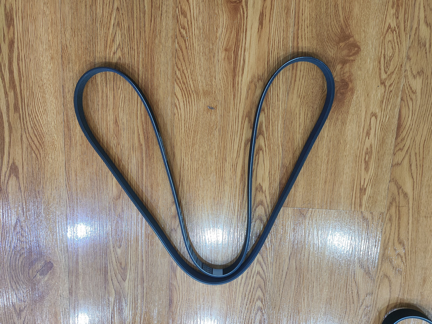 Ford Ranger 2012-2016 Engine Drive Belt (2.2) JB3Z8620A,AB396C301AB
