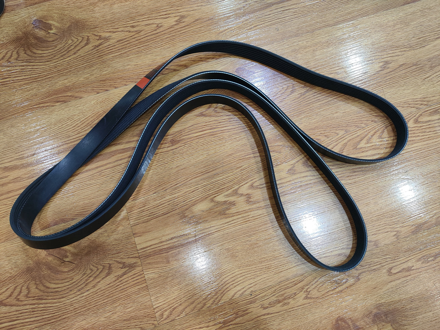 Ford Ranger 2012-2016 3.2L Serpentine V-belt (3.2) AB396C301CB